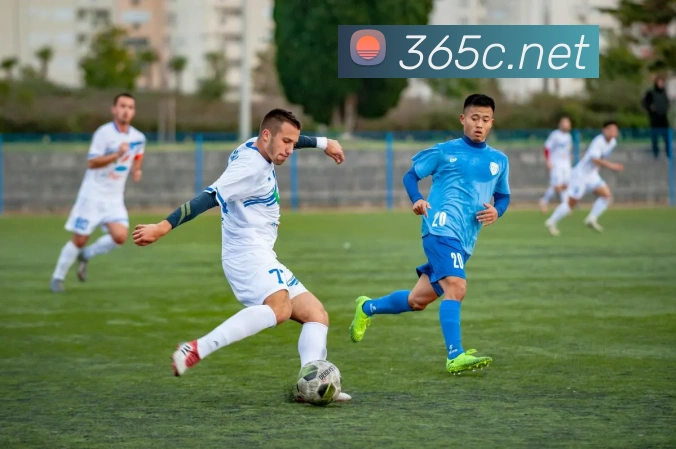 bet365中国官网登录入口服务体系
